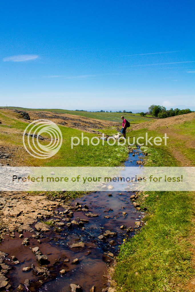 Table Mountain Oroville, CA The Rinse Cycle