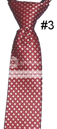 BOYS NECKTIES PRE TIED TIES ZIPPER CLIP VAN HEUSEN DOCKER XMAS NWT NEW 